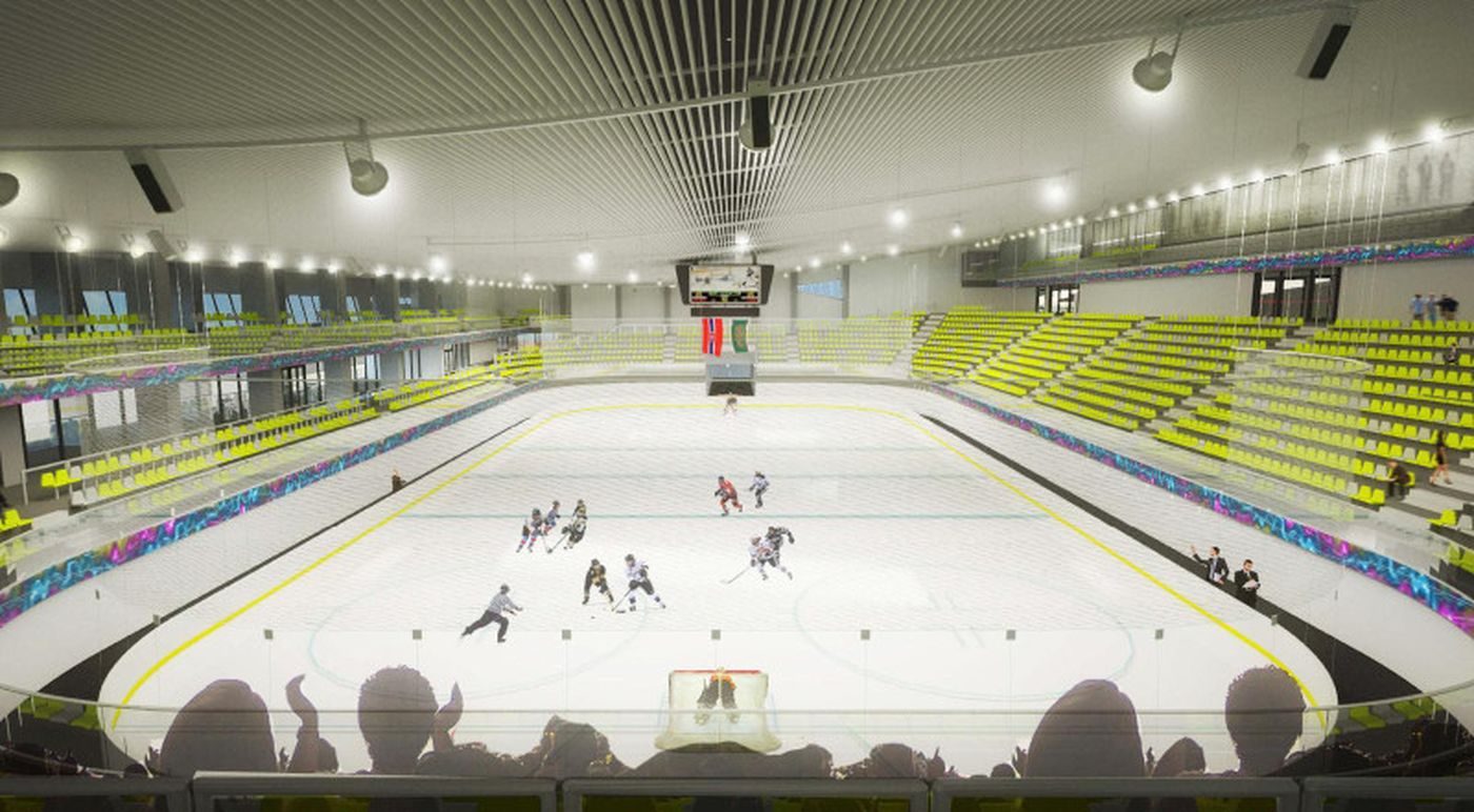 Patinoar Mihai Flamaropol — București